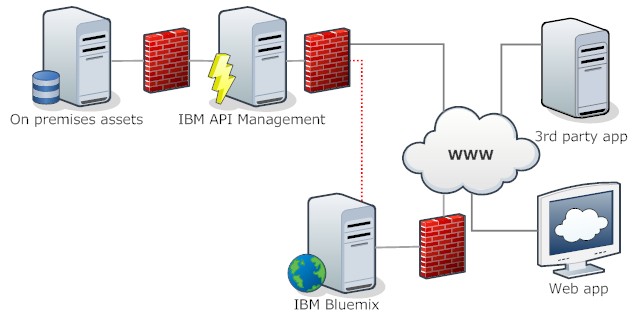 API Management IBM Style